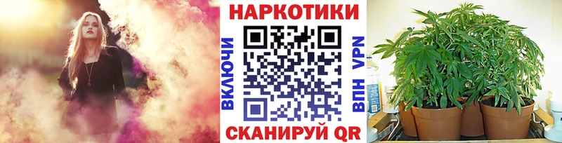 APVP Курлово