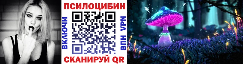 Галлюциногенные грибы Psilocybe Купить Курлово